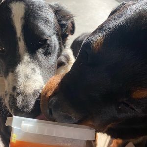 Meet your Posher, Abel